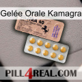 Gelée Orale Kamagra 41